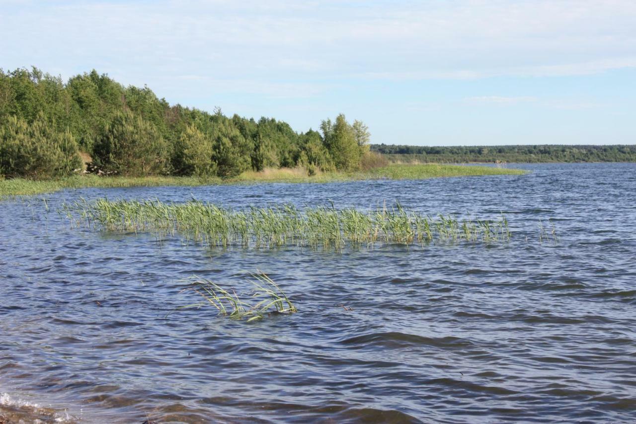 Ferienwohnungen Heideblick Grafenhainichen Buitenkant foto